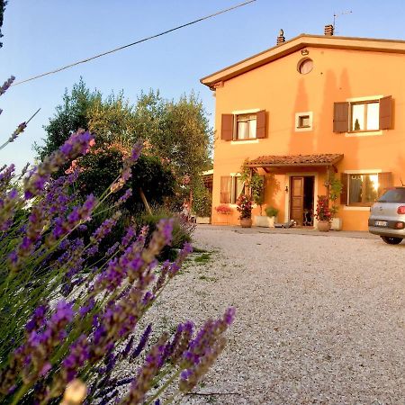 Locanda Della Lavanda San Clemente  Εξωτερικό φωτογραφία