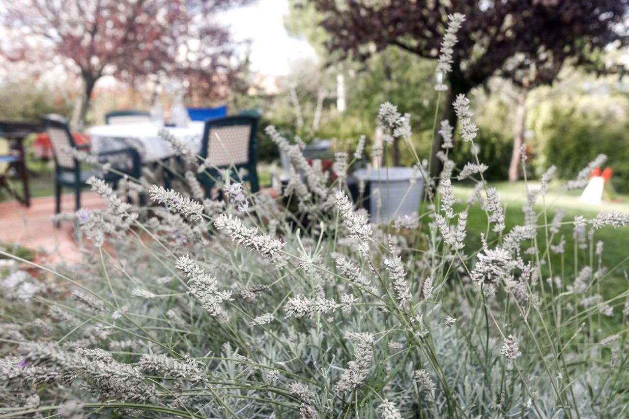 Locanda Della Lavanda San Clemente  Εξωτερικό φωτογραφία